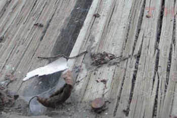 Wood Deck Rot
