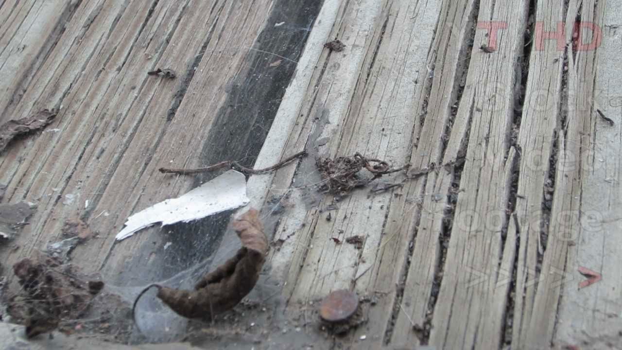 Wood Deck Rot