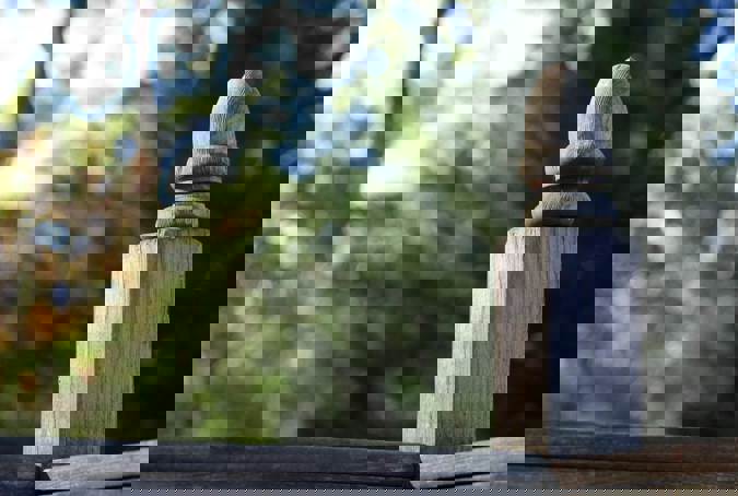 Aged Wooden Deck Post