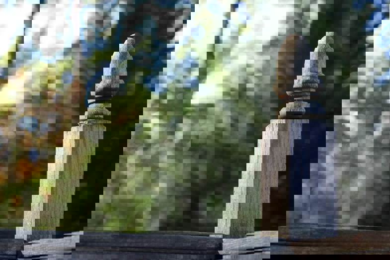 Aged wooden desk post