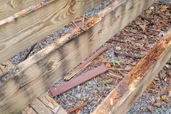 Wood Rot 7 Years