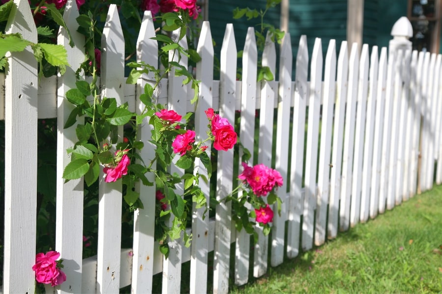 White Picket Fence