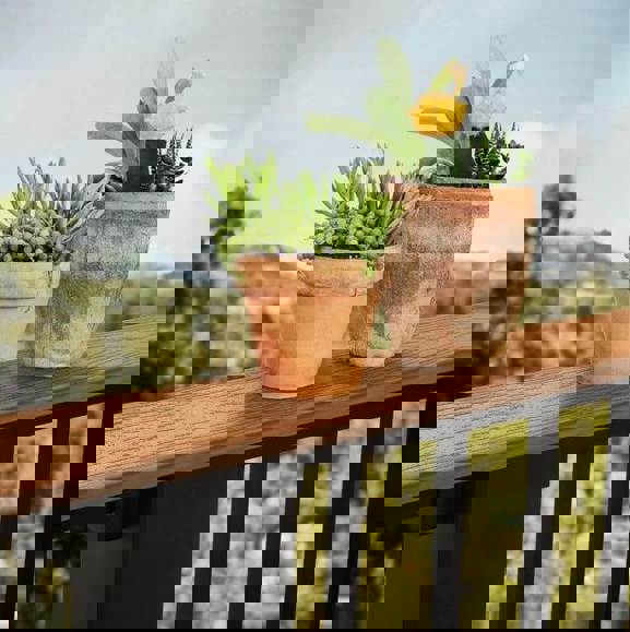 2 plants sitting atop of a metal railing