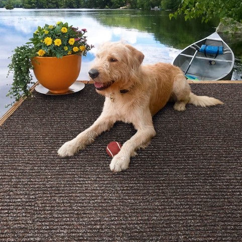 Dog On A Rug